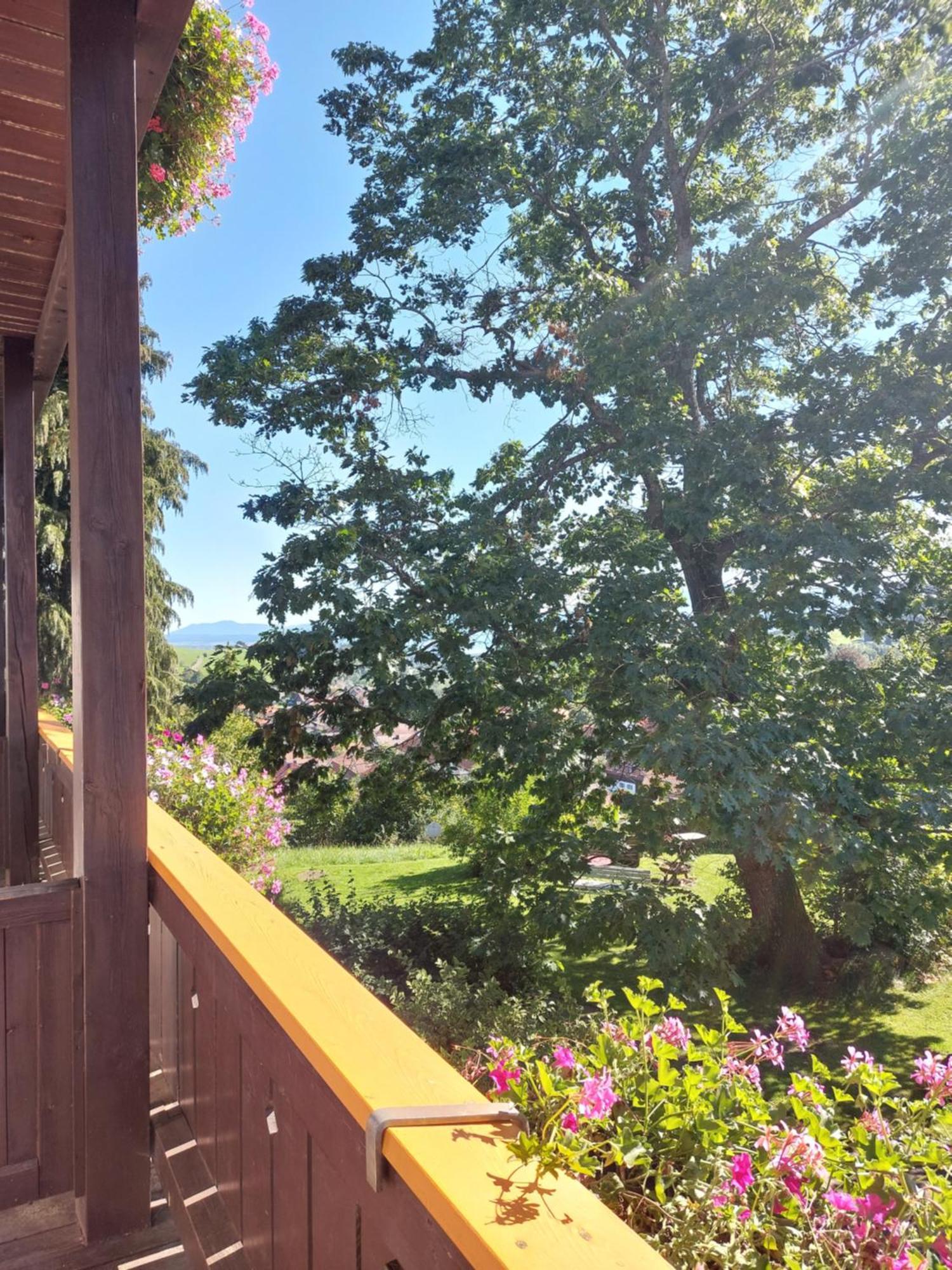 Landhaus Schoenblick Bad Kohlgrub Εξωτερικό φωτογραφία